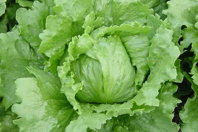De Pierre Benite