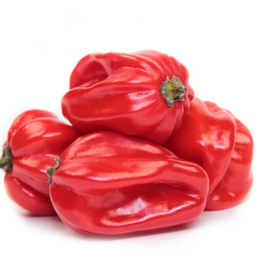 Habanero red