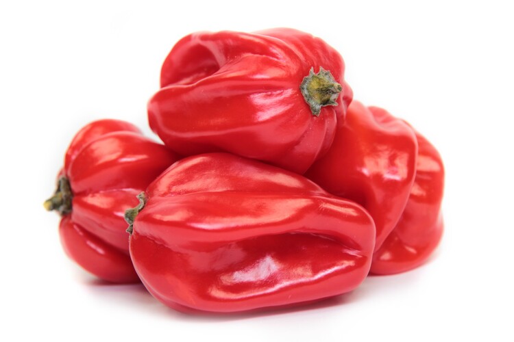 Habanero red
