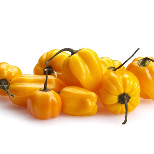 Habanero yellow