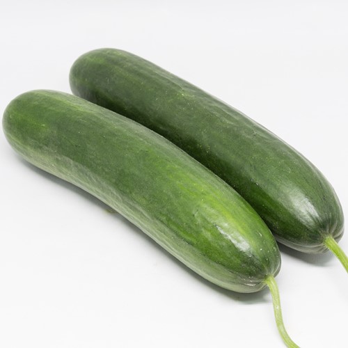 Paleza