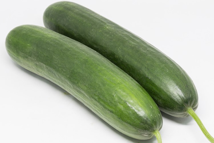 Paleza