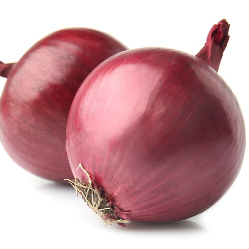 Red King hybrid