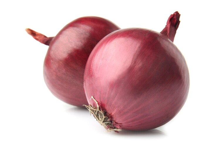 Red King hybrid