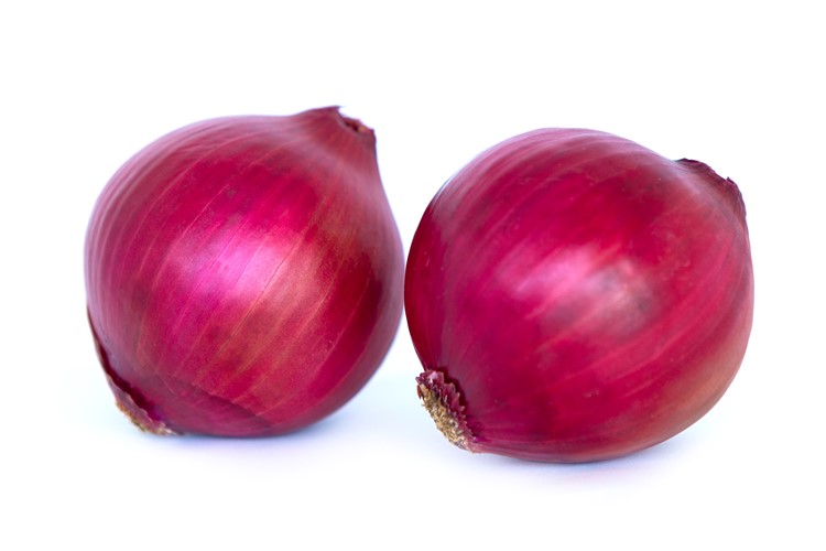 Red King hybrid