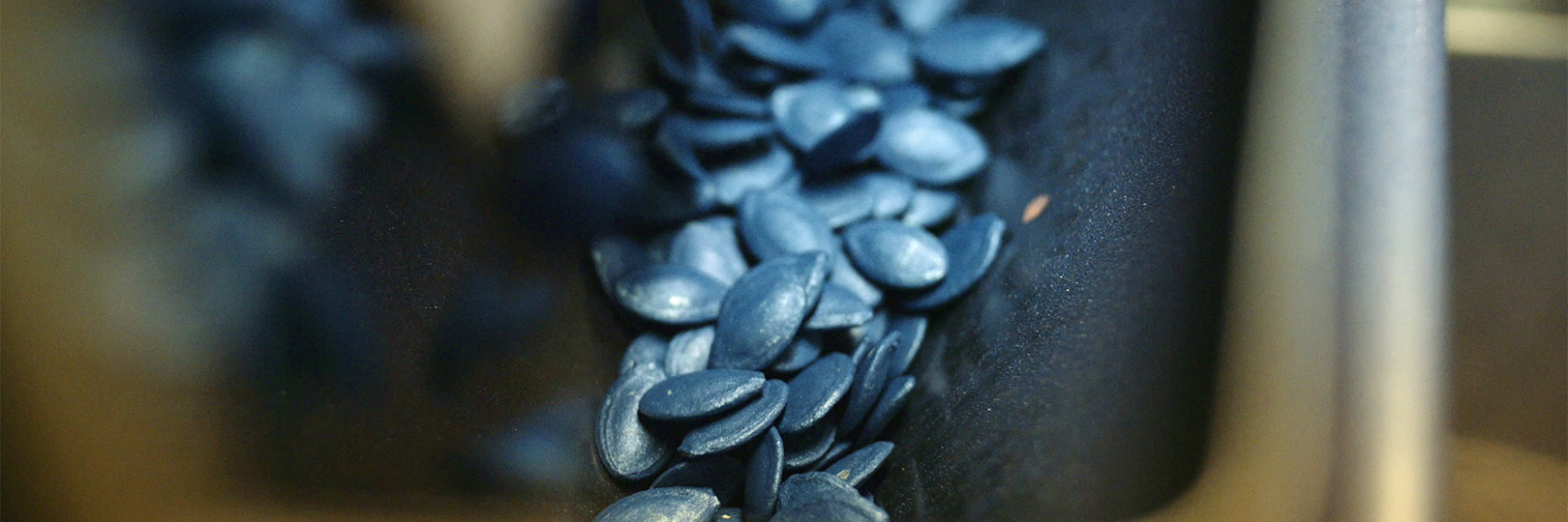 Seeds
