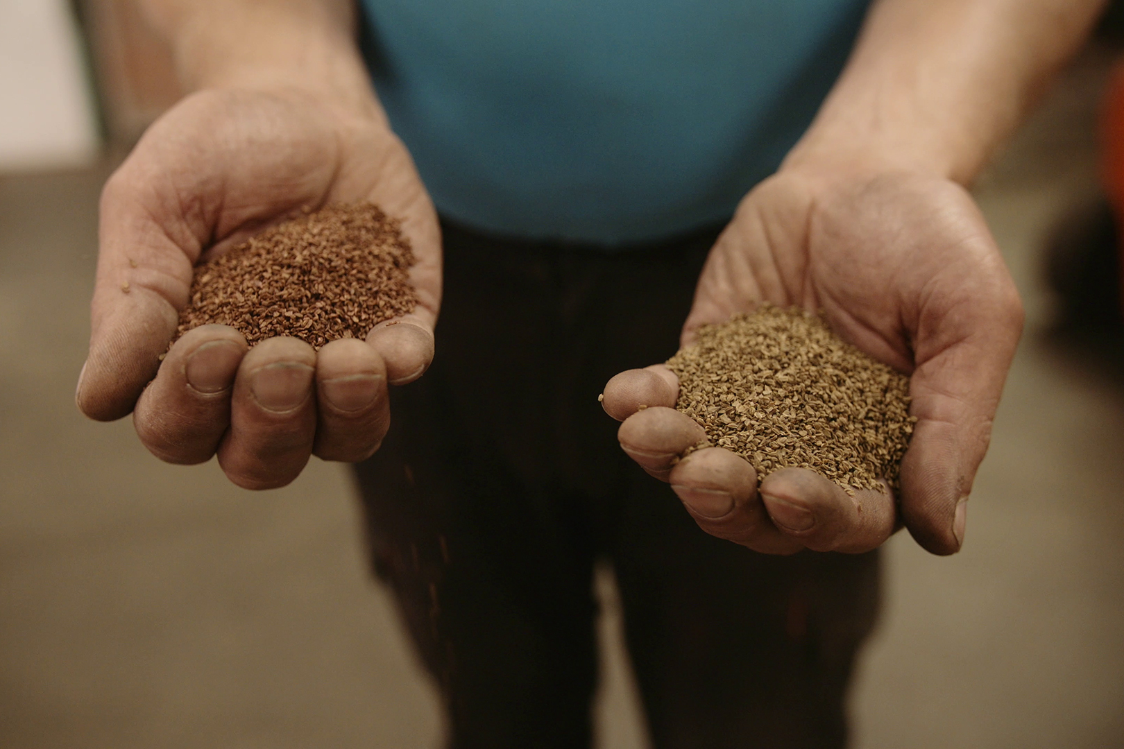 Bakker Brothers Seed Research and Development
